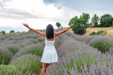 Türkiye 'nin lavanta cenneti: Kuyucak Köyü, Isparta - Türkiye. Kuyucak Isparta 'nın lavanta tarlasında güzel bir kadın. Kadın model lavanta tarlalarında yürüyor.. 