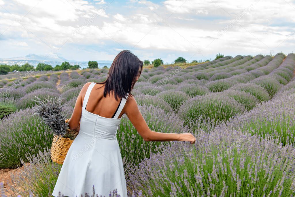 Turkey's lavender paradise: Kuyucak Village, Isparta - Turkey . Beautiful woman in the lavander field of the Kuyucak Isparta. Woman model is walking through lavender fields. 