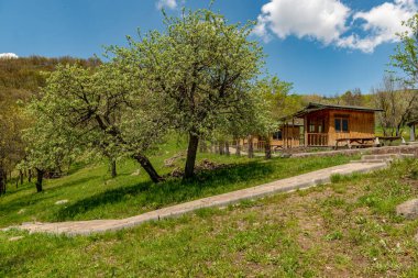 Bingol / Türkiye. Bingöl 'deki Yüzen Adalar (Longoz).