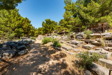 Aydın - Türkiye. Haziran 03, Priene Antik Şehir Harabeleri. Soke, Aydın - Türkiye. Priene, Türkiye 'nin batısında Miletus' un hemen kuzeyinde yer alan antik bir Yunan kentidir. Eski bir Yunan kutsal şehriydi.