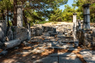Aydın - Türkiye. Haziran 03.2019 Priene Antik Şehir Harabeleri. Soke, Aydın - Türkiye. Priene, Türkiye 'nin batısında Miletus' un hemen kuzeyinde yer alan antik bir Yunan kentidir. Eski bir Yunan kutsal şehriydi.