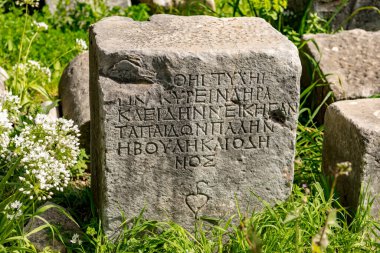 Didim, Aydın - Türkiye. 16 Mart 2018. Aydın 'ın Didim kentindeki Apollo Tapınağı - Türkiye