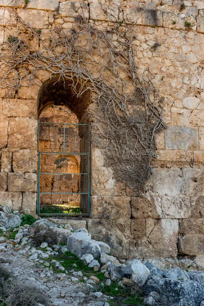 Fethiye Mugla Turkey January 2018 Ruins Tlos Ancient City Turkey — Stock Photo, Image
