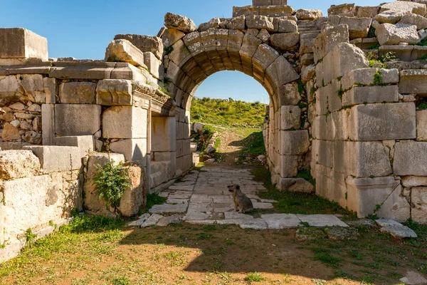 Kas Antalya Turchia Gennaio 2018 Antica Città Xanthos Letoon Xantos — Foto Stock