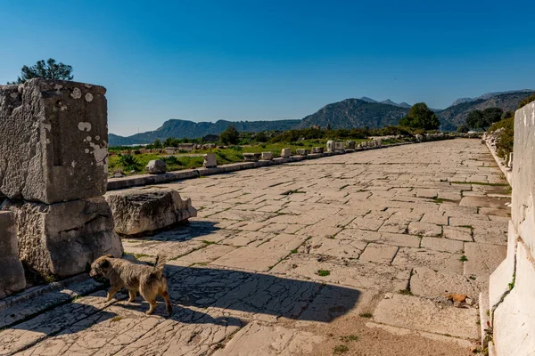 Ville Antique Xanthos Letoon Xantos Xhantos Xanths Kas Antalya Turquie — Photo