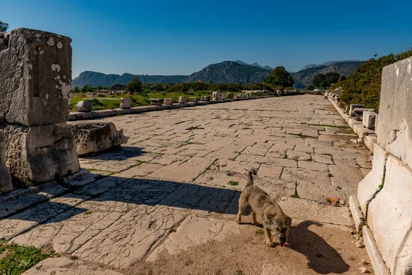 The ancient city of Xanthos - Letoon (Xantos, Xhantos, Xanths) in Kas, Antalya - Turkey.Became famous by the heroic deeds of its people - not once they burned their city so it did not get to the enemy