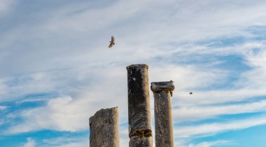 Antalya, hindi. Şubat 04, 2018. Perge Antik Kenti, Antalya - Türkiye.