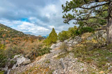 Antalya, hindi. 21 Aralık 2017. Antalya 'nın Termessos Antik Kenti' ndeki amfi tiyatro - Türkiye. Termessos, Antalya 'nın 30 km kuzeybatısındaki bu yükselen dağ zirveleri, Türkiye' nin başlıca ilgi alanlarından biri.,