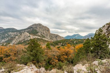 Antalya, hindi. 21 Aralık 2017. Antalya 'nın Termessos Antik Kenti' ndeki amfi tiyatro - Türkiye. Termessos, Antalya 'nın 30 km kuzeybatısındaki bu yükselen dağ zirveleri, Türkiye' nin başlıca ilgi alanlarından biri.,