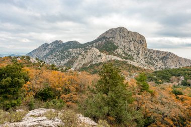 Antalya, hindi. 21 Aralık 2017. Antalya 'nın Termessos Antik Kenti' ndeki amfi tiyatro - Türkiye. Termessos, Antalya 'nın 30 km kuzeybatısındaki bu yükselen dağ zirveleri, Türkiye' nin başlıca ilgi alanlarından biri.,
