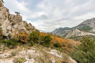 Antalya, hindi. 21 Aralık 2017. Antalya 'nın Termessos Antik Kenti' ndeki amfi tiyatro - Türkiye. Termessos, Antalya 'nın 30 km kuzeybatısındaki bu yükselen dağ zirveleri, Türkiye' nin başlıca ilgi alanlarından biri.,