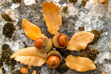 Antalya, hindi. 21 Aralık 2017. Antalya 'nın Termessos Antik Kenti' ndeki amfi tiyatro - Türkiye. Termessos, Antalya 'nın 30 km kuzeybatısındaki bu yükselen dağ zirveleri, Türkiye' nin başlıca ilgi alanlarından biri.,