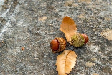 Antalya, hindi. 21 Aralık 2017. Antalya 'nın Termessos Antik Kenti' ndeki amfi tiyatro - Türkiye. Termessos, Antalya 'nın 30 km kuzeybatısındaki bu yükselen dağ zirveleri, Türkiye' nin başlıca ilgi alanlarından biri.,