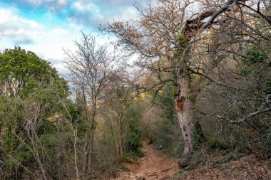 Antalya, hindi. 21 Aralık 2017. Antalya 'nın Termessos Antik Kenti' ndeki amfi tiyatro - Türkiye. Termessos, Antalya 'nın 30 km kuzeybatısındaki bu yükselen dağ zirveleri, Türkiye' nin başlıca ilgi alanlarından biri.,