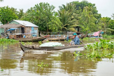 16 Aralık 2015. Thomas-Vietnam 'ı. Vietnam 'ın Mekong Deltası' ndaki Can Tho şehrinin yakınındaki Mekong Nehri 'ndeki Çiçekli Pazar. Vietnam' ın pirinç kasesi, delta çeşitli baş döndürücü yeşilliklerle kaplıdır.. 