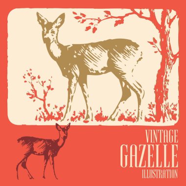 Vahşi hayvanlar vektör