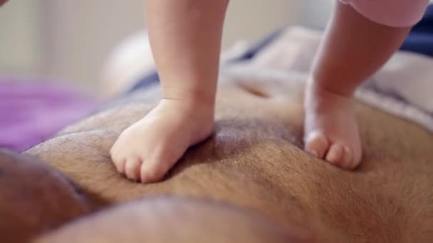 Trampling Video Trampling Video