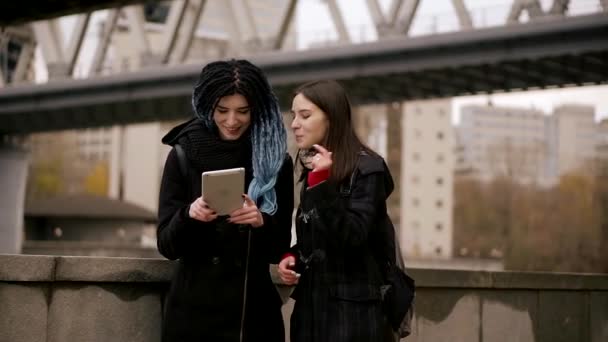 Two Cute Lesbians Are Taking Photo Outside Stock Video Two Cute Lesbians Are Taking Photo Outside Stock Video