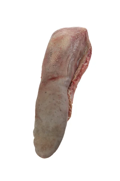 Beef tongue on white — Stock Photo, Image