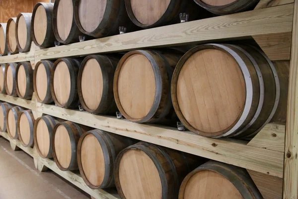 Rows of wine barrels Stock Photo