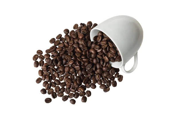 Koffiebonen in kopje — Stockfoto