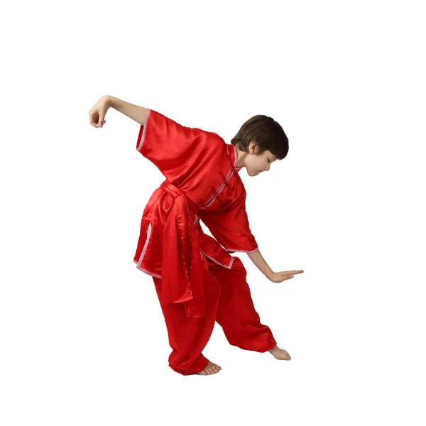Junge Wushu-Kämpfer — Stockfoto