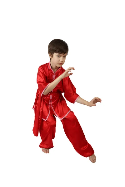 Junge Wushu-Kämpfer — Stockfoto