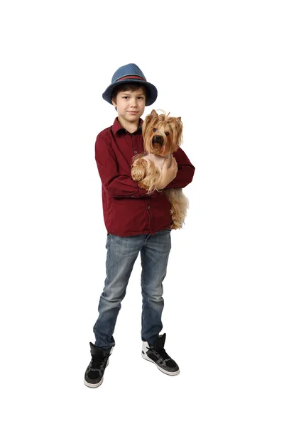 Хлопчик з маленьким собакою — стокове фото