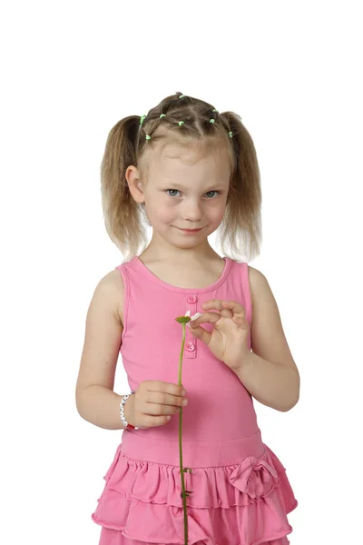 Little girl tears off petals of daisy — Stock Photo, Image