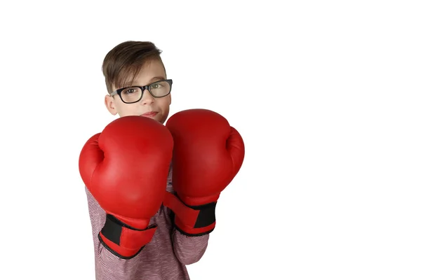 Menino em luvas de boxe — Fotografia de Stock