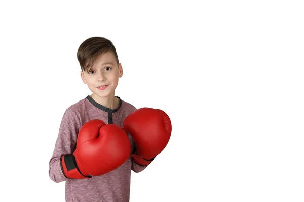 Menino em luvas de boxe — Fotografia de Stock