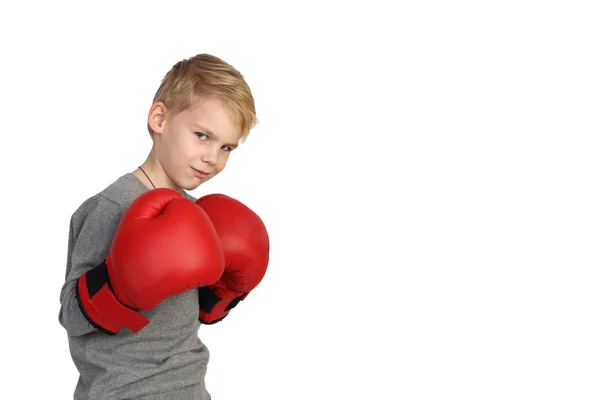 Chłopiec bokser na białym — Zdjęcie stockowe