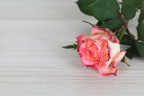 Rose on table — Stock Photo, Image