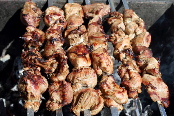 Barbacoa a la parrilla en pinchos Imágenes De Stock Sin Royalties Gratis