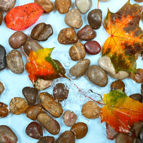 Höstens säsong bakgrund — Stockfoto