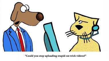 Kedi hüner videolar