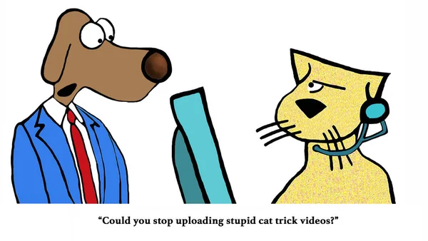Cat Trick Videos — Stock Photo, Image