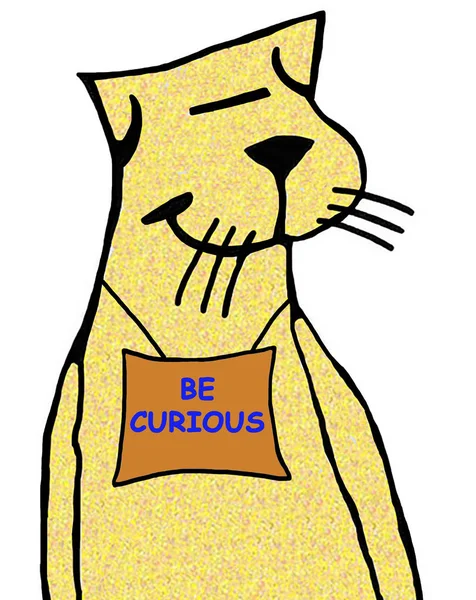 Cat zegt 'wees nieuwsgierig' — Stockfoto