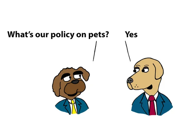 Ejecutivos Perros Discuten Política Oficina Para Mascotas — Foto de Stock