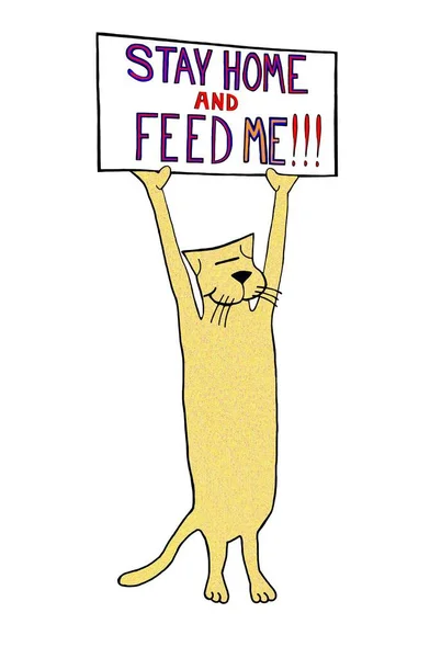 Color Cartoon Showing Yellow Cat Holding Sign Stay Home Feed — Stock Photo, Image