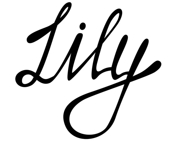 Lily naam belettering — Stockvector