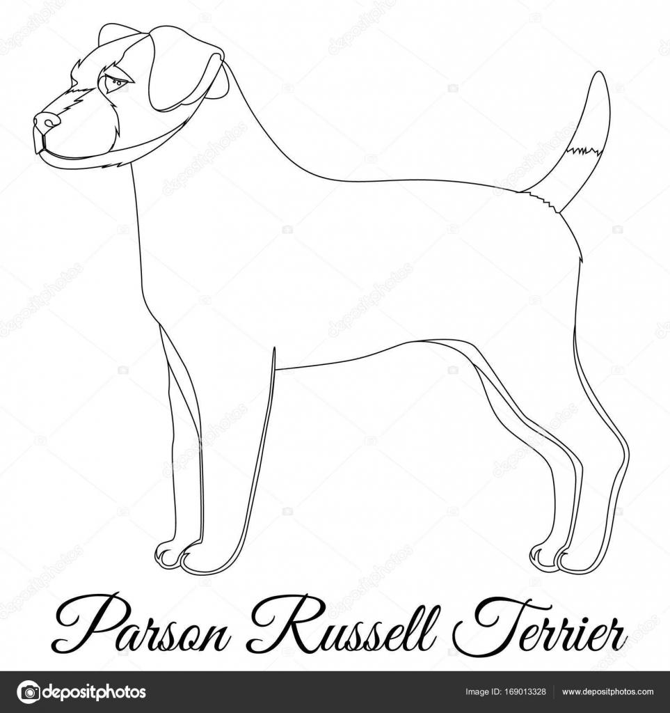 Parson Russel terrier outline — Stock Vector © Marishayu 169013328
