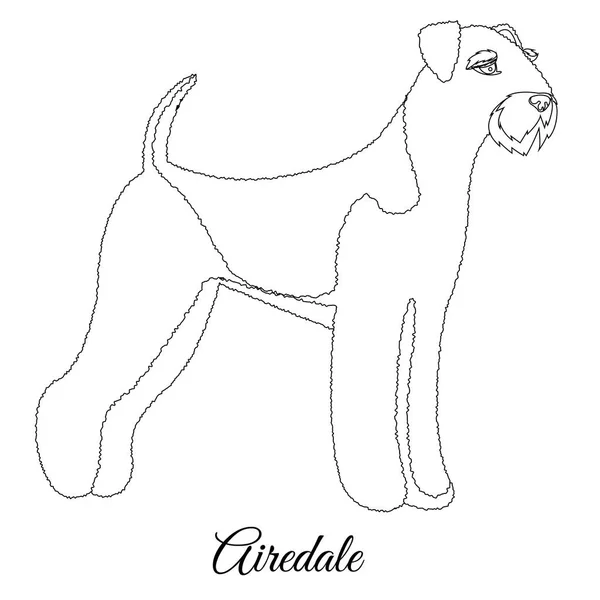Airedale köpek anahat — Stok Vektör
