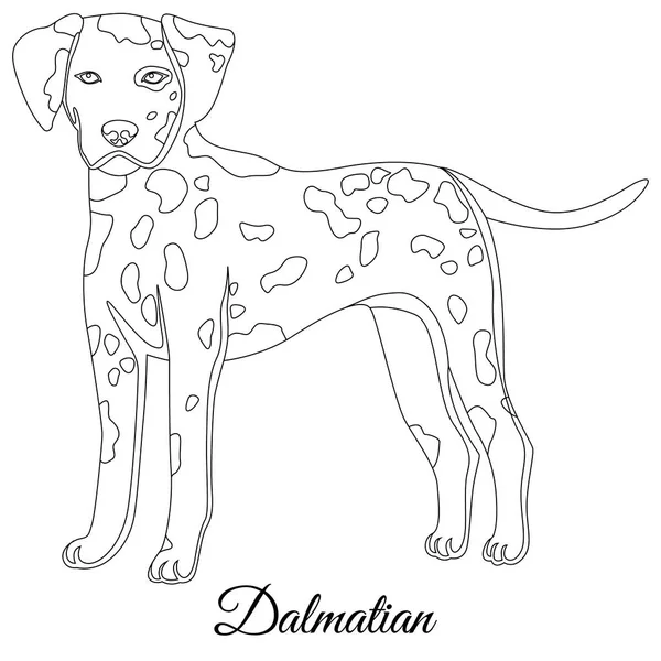 Pies dalmatyńczyk konspektu — Wektor stockowy