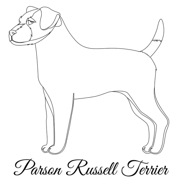 Parson Russel terrier overzicht — Stockvector