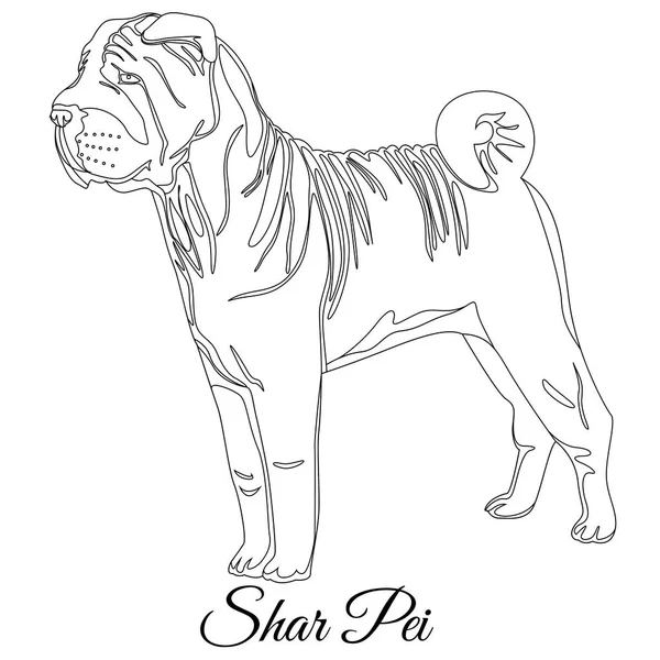 中国 shar pei 狗大纲 — 图库矢量图片