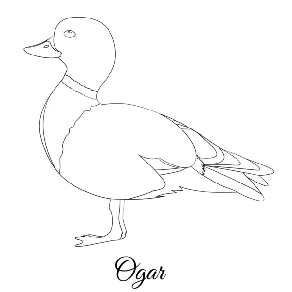 Ogar bird coloring. Vector outline image — Stock Vector