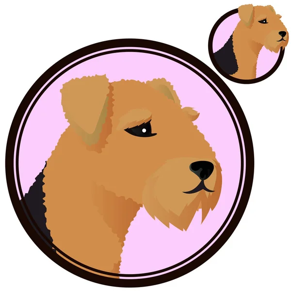 Airdale κεφάλι σκύλου ψωμί σε κύκλο διάνυσμα — Διανυσματικό Αρχείο