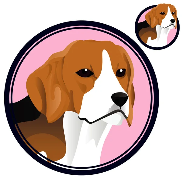Çember vektör illüstrasyonunda beagle kafa cinsi — Stok Vektör