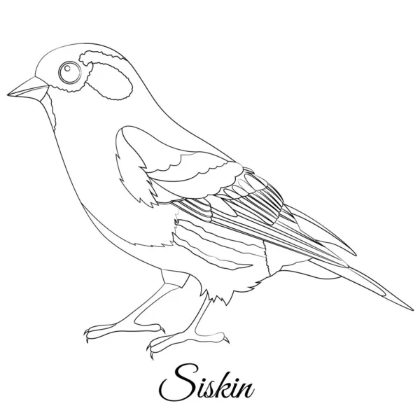 Eurasia tipo Siskin pájaro para colorear Gráficos vectoriales